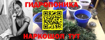 гашишное масло Аргун