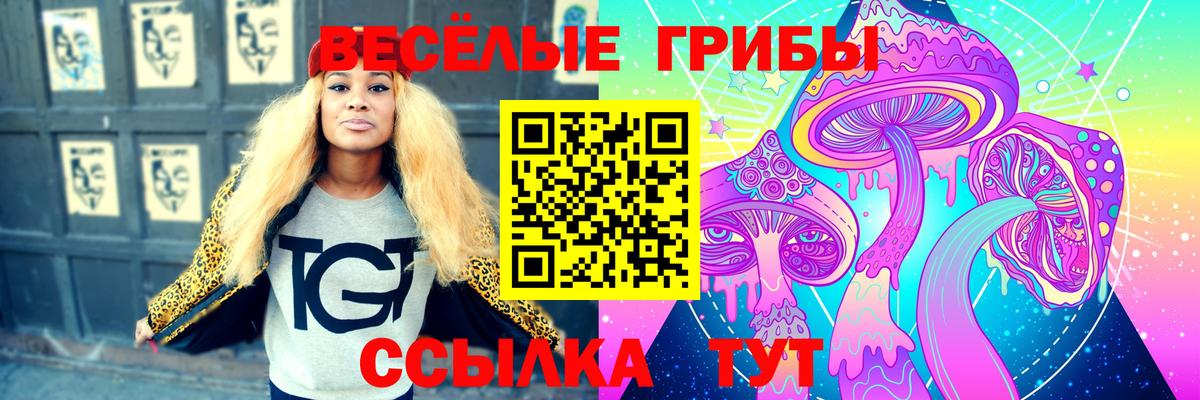 Псилоцибиновые грибы Magic Shrooms Большой Камень