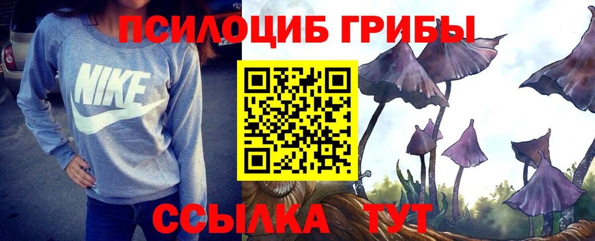 Псилоцибиновые грибы Cubensis  Вход с VPN  Большой Камень  Псилоцибиновые грибы GOLDEN TEACHER 